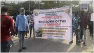 Red List: NANS fumes, threatens shutdown of British, Canadian missions, issues 72hrs ultimatum for reversal