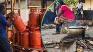 FG begins distribution of free cooking gas cylinders to 1 million Nigerians using firewood, charcoal