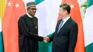 Bashin China: Ko yanzu muke bukatar bashi, za mu sake karbowa, Buhari