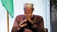 Boko Haram: Buhari reacts to attack on Adamawa, reveals what will happen to criminals