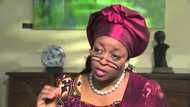 Kotu ta ki ba hukumar EFCC damar cafko Alison-Madueke daga kasar waje