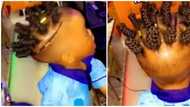 Video of little boy's swaggy braided hairstyle sparks mixed reactions: "The stylist need to be sue"