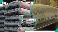 Chinese-owned HBM battles Dangote, BUA for Nigeria’s cement market as prices hit new levels