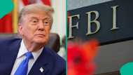 US details steps officials must take when Nigerians, others are arrested on American soil