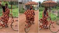 Man seen in matching Ishiagu dress, his bicycle & umbrella also carries the Igbo native attire in funny video