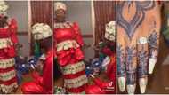 Man proposes to girlfriend in grand style as they are both dressed in dollar bills attires, many react