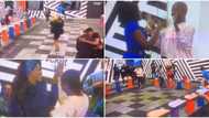 BBNaija: 'Island and mainland' housemates scream in excitement, hug happily as they finally meet, video trends