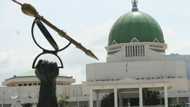 "It's counter-productive": CSOs blast FG, National Assembly over creation of new agencies