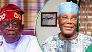 Tinubu’s Certificate: 4 things to expect from Atiku’s world press conference, PDP chieftain shares