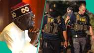 Zance ya kare, Amurka ta gudanar da bincike kan zargin Tinubu da safarar miyagun kwayoyi