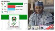 Tech-savvy Nigerians build innovative parallel sites to check INEC, 11 million votes counted as winner emerges