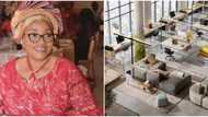 Olubunmi Amao: How lady went from re-arranging things in someone's house to owning a big furniture business