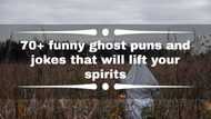 70+ funny ghost puns and jokes that will lift your spirits