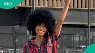 Queenfineshii: Anambra-born creator who rebuilt career after losing 1 million TikTok followers