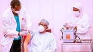 President Buhari discloses why all Nigerians should take COVID-19 vaccine