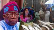 Tinubu announces plan to share N75bn interest-free loan to 1.5m market women
