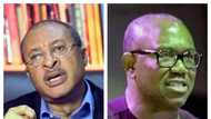 2023: Three main reasons why Pat Utomi stepped down for Peter Obi as labour party candidate