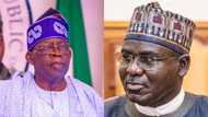 Tinubu’s cabinet: Security expert clears air on misconceptions of Buratai amid imminent NSA, MOD appointment