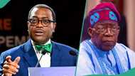 Presidency blasts Adesina over claims Nigerians were better off in 1960: “You sound like Peter Obi”