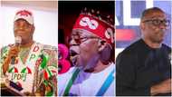 Presidency: Intrigues as Atiku's campaigner condemns Peter Obi, commends Tinubu