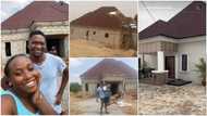 "I tap into this blessing": Young Nigerian lovers build house, put electric fence, interlock compound