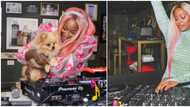You retired the day you were born: Fan 'knocks' DJ cuppy for saying she works very hard to retire at 35