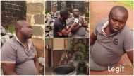 Man who returned from abroad broke becomes millionaire in Nigeria after CEO sent him N1.5m