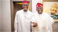 Photo emerges as prominent NNPP chieftain visits President-elect Bola Tinubu