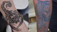 Amazing scorpion tattoo designs to pick from