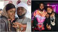 “You go slap who?” Davido defends Chioma from man who vowed to hit her over how she greeted singer’s brother