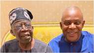 Coalition of opposition parties ask Tinubu to choose James Faleke as chief of staff