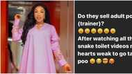 Actress Tonto Dikeh begins search for adult potty over viral videos of snakes found inside toilets