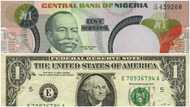 Exchange rates of N1 to $1 from 1974 to 1985 finally revealed (see how strong naira was)