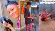 Nigerian lady flaunts her goat pet she calls her love, attempts to brush its teeth, videos stir reactions