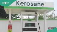 Just like cooking gas: marketers hike kerosene prices, 3 states hit hardest