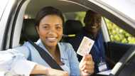 How to check if driver's license is ready for collection online
