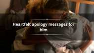 170+ heartfelt apology messages for him: sorry messages for a boyfriend