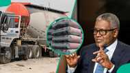 After $800m cement plant, Tanzania seeks bigger Dangote investments in energy and industry
