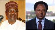 This is a lie - Shehu Sani reacts to claims by UK lawmaker who alleged that Yakubu Gowon looted half of CBN