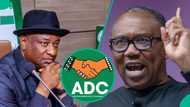 ADC: Keyamo raises alarm over looming betrayal of Obi, Mentions what will finally happen to APC