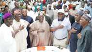 2023 presidency: APC national leader Tinubu meets House of Assembly speakers