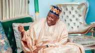 Hanya Ta Buɗe: Ganduje Ya Ƙara Samun Gagarumin Goyon Bayan Zama Shugaban APC, Bayanai Sun Fito