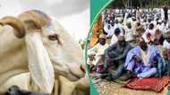 Nigerians react as bank launches ram loans scheme for Sallah celebrations: “Clap for APC govt”