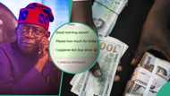 “We rebuke and bind”: Leaked chat shows naira exchanges at N1,000 per dollar, CBN ready to fight back