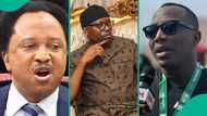 Fubara is not Sowore: Shehu Sani reacts as Tinubu reconciles Wike and Rivers governor