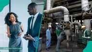 Dangote releases new job vacancies for Nigerians to apply