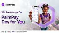 As digital scams get smarter, PalmPay highlights tools Nigerians can use to stay safer