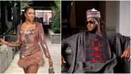 Paul Okoye finally a single man as court dissolves his marriage to Anita, ex asks for mansions, millions