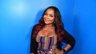 Phaedra Parks bio: Age, net worth, partner, kids, where is she now?