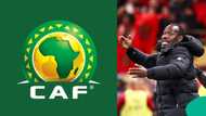 CAF reportedly suspends Senegal coach Pape Thiaw after controversial AFCON final incident vs Morocco